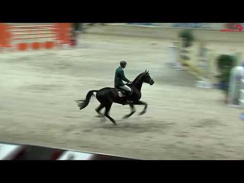 LANDSKRON v. Lahnstein