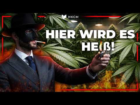 Cannabis-Sektor vor dem Ausbruch – diese Szenarien jetzt sind möglich