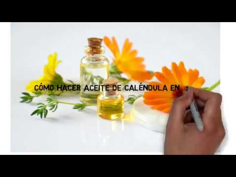 ¿Cómo hacer aceite de caléndula casero?
