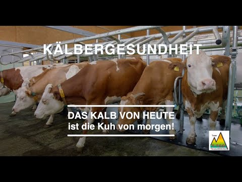 , title : 'Kälbergesundheit - Das Kalb von heute ist die Kuh von morgen!'