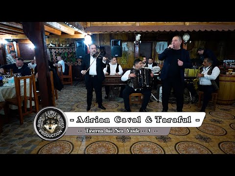 Adrian Caval & Taraful - 3 - Party at Nea Vasile's Tavern