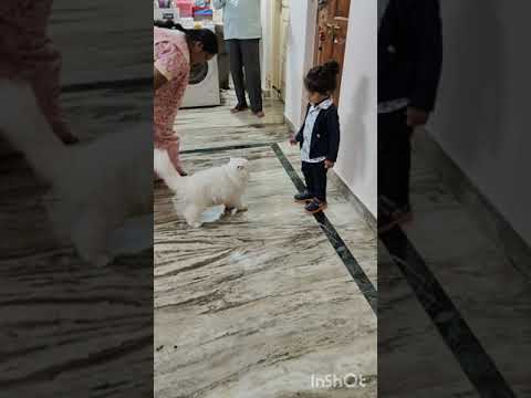 Jishnu Enjoyed with lovely Cat [Joy]