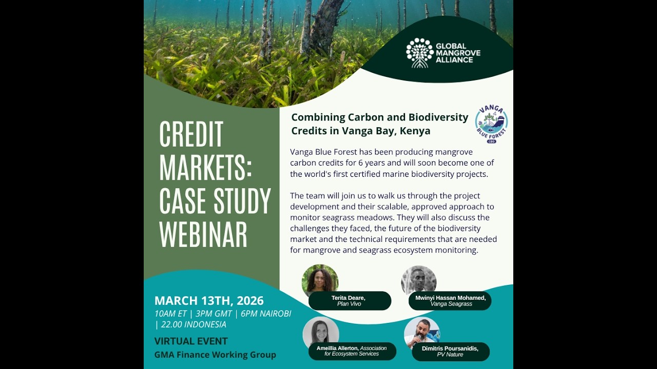 Credit Markets: March 2026 Finance Working Group Webinar