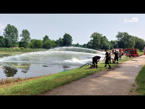 LIVE Supraśl - przyducha w rzece