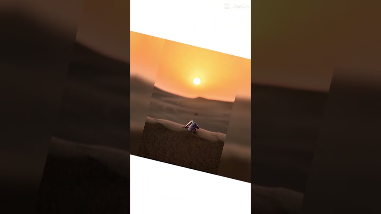 очки  и линзы от MAGRABi