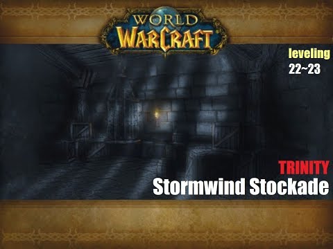 TRINITY - Stormwind Stockade [lvl 22~23] WoW Multiboxing