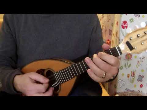 Eselblues  (Donkey Blues) aus dem Bluesalbum für Mandoline und Gitarre