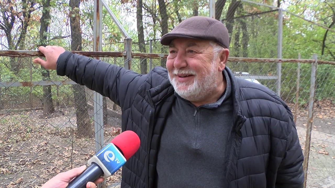 Вълк се разхожда свободно на Кенана, от зоопарка отричат да е избягал от там