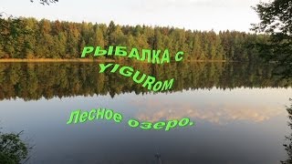 Рыбалка на озере лесном-сергиева посада