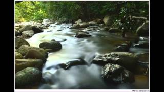 Alexandre Desplat | The River