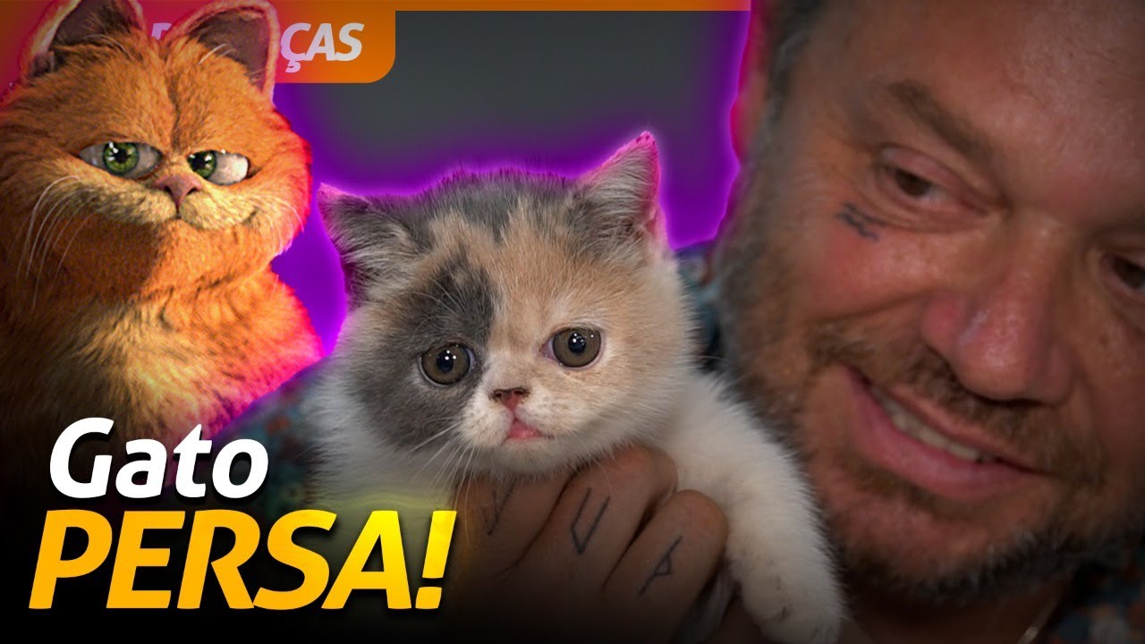 TUDO SOBRE OS GATOS EXÓTICO PERSA HIMALAIA! | RICHARD RASMUSSEN