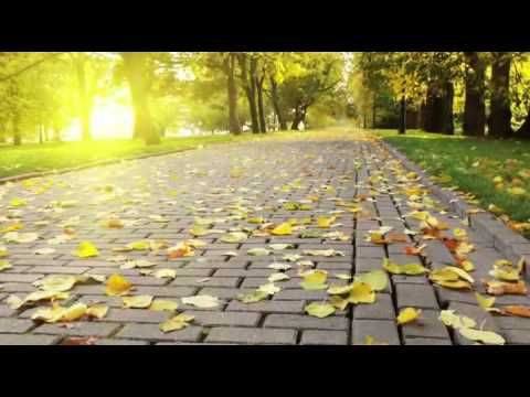 Ilhama Masiyeva -  "It's too hard without you"