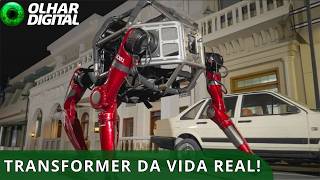 Miniatura do vídeo