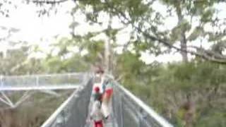 preview picture of video 'Valley of the Giants Treetop Walk, Walpole'