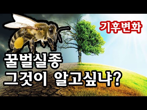 , title : '꿀벌실종과 기후변화 그것이 알고싶냐?'