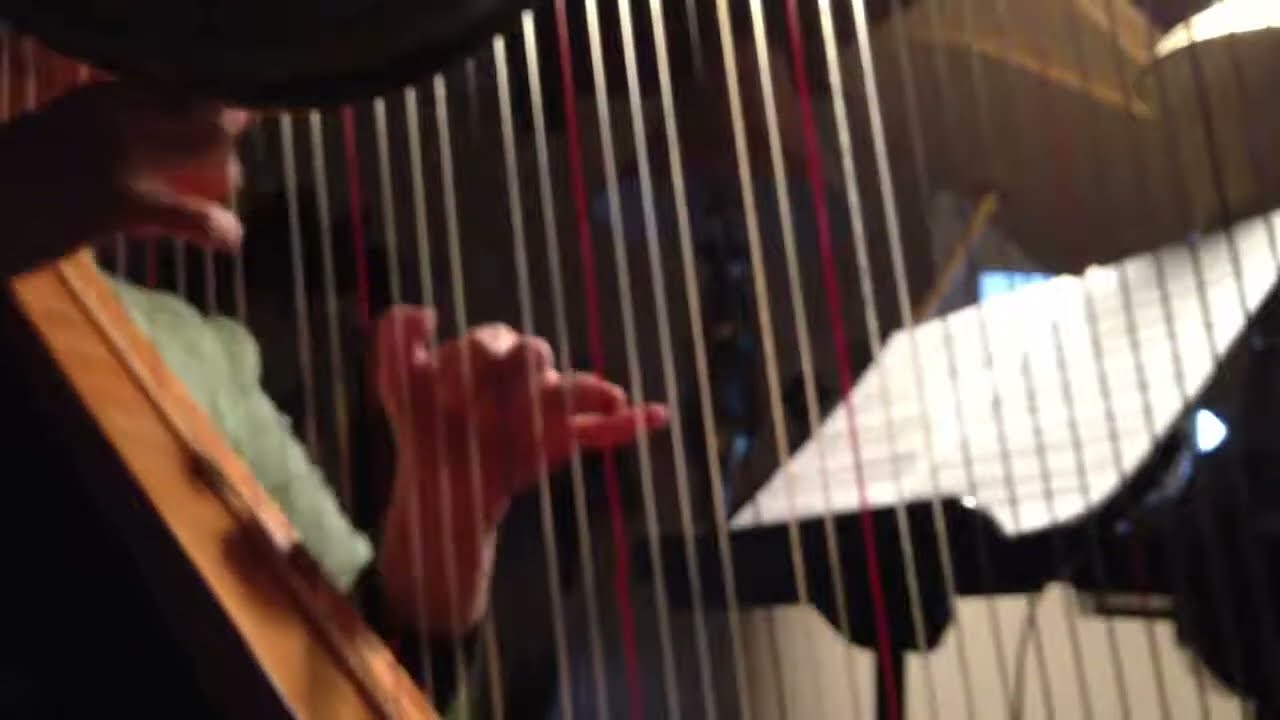 Promotional video thumbnail 4 for Harpist/Pianist Gina Edwards