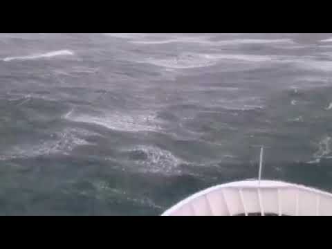 Petar Hektorović u borbi s višemetarskim valovima