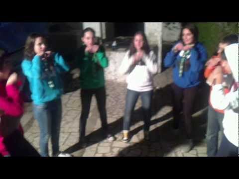 DanzaScouts 35 - There was a crocodile