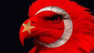 Miami Sound Machine - Hot Summer Nights / Türk Yıldızları (Turkish Stars)