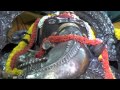 Plesantlife Sri Maha Ganapathi