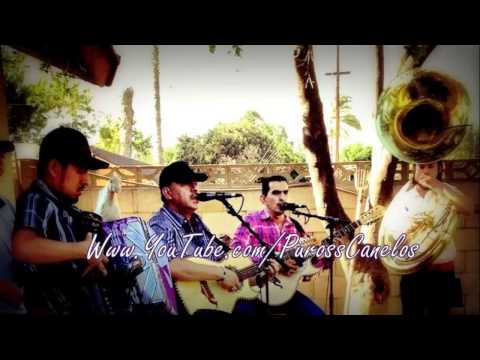 Los Canelos De Durango - Mi Esperanza ( En Vivo Con Tuba ) 2014