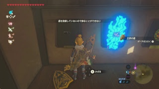 ゼルダの伝説ブレスオブザワイルド　初見プレイ#20 ウツシエの記憶 最後の一つ