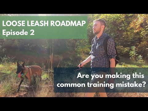 Avoid this bad advice and start distraction-proofing your dog | Loose Leash Roadmap Ep. 2