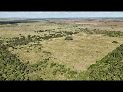 SA PEREYRA, SANTA FE (154 ha)