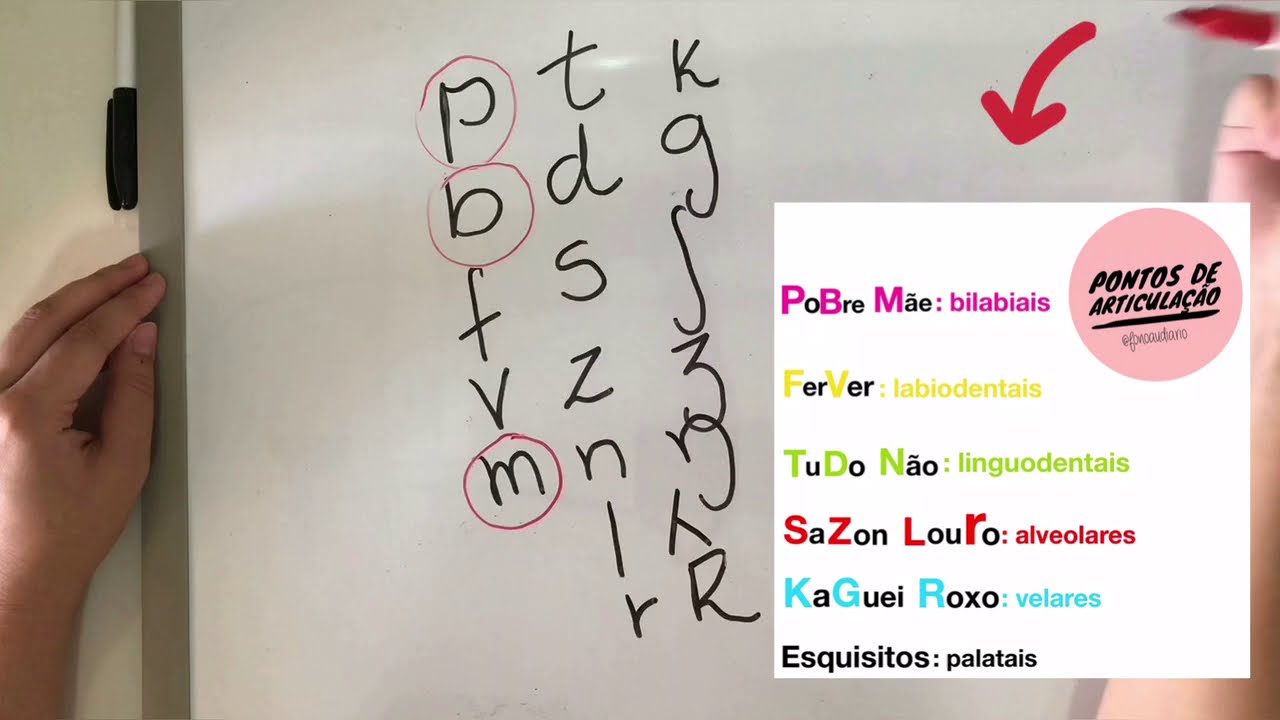 Explicando o Quadro Fonético aplicado a Fonoaudiologia