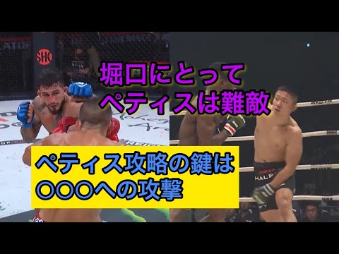 堀口恭司vsセルジオ・ペティス　バウトプレビュー