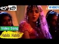 Habibi Video Song Bachi Telugu Movie Songs Jagapathi Babu Neelambari Puri Jagannadh V9 Videos