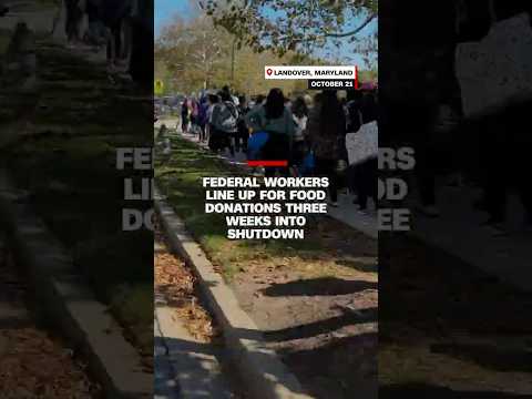 Federal workers line up for food donations three weeks into shutdown