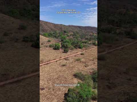 Fazenda com 273 alqueires (aprox. 1.321 ha) município de Cocalzinho de Goiás  #fazendaavenda #agro