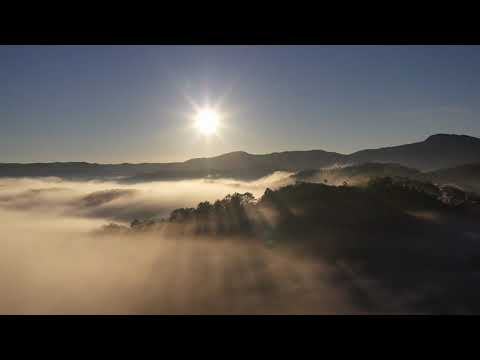 Morning GOOD MOOD Booster Wake Up Relax Music Flow Meditation