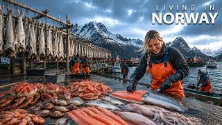 Living in Norway | Life in one of the world's most Stunning fishing villages | 4K Travel Documentary