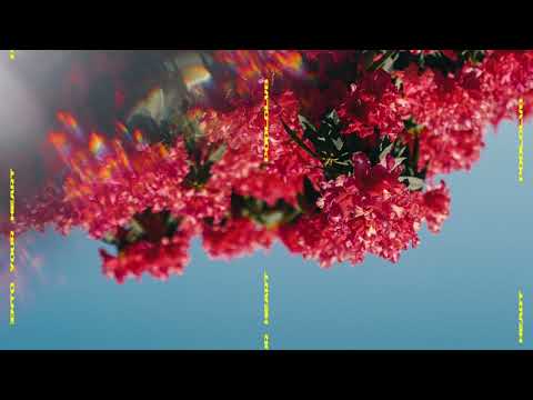 POOLCLVB - Into Your Heart