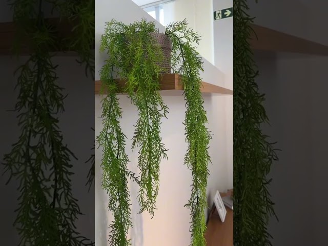 Prateleira 180cm Freijó - Pradel