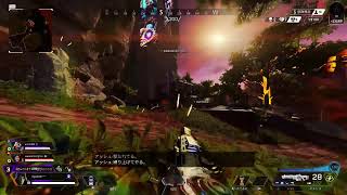 お久しぶりののAPEX