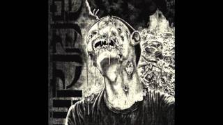 Wormrot - Public Display Of Infection