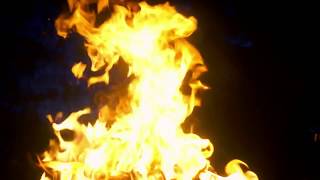 Kill The Dandies! - Doodee (Official Video)