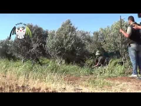 استهداف  قوات النظام بقذائف الهاون في ببدة الطيرة في محافظة السويداء