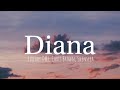 Fireboy DML , Chris Brown - Diana ft Shenseea (lyrics)