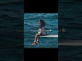 Kasi7782 🫶 Taylorsversion Favouritemusic Erastour