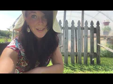 Week 3 Full Garden Tour, Raised bed garden, Straw Bale Garden, No Dig Garden, June 2021, |Vlog|