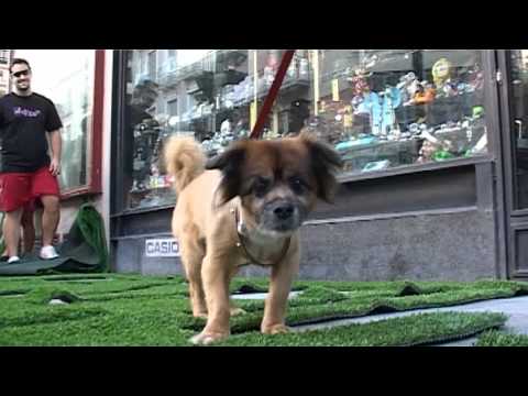 Making-of "Respira". Cuenca 2016