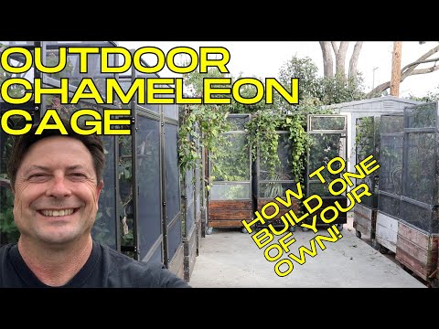 Build an outdoor chameleon cage on wheels!