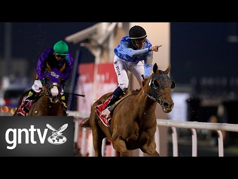 Highlights from the 2015 Dubai World Cup