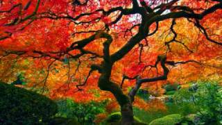 Bachianas Brasileiras No 5 - Lalo Schifrin