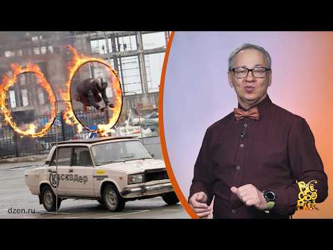 Всё обо всём. Каскадёры. Выпуск от 24.03.26