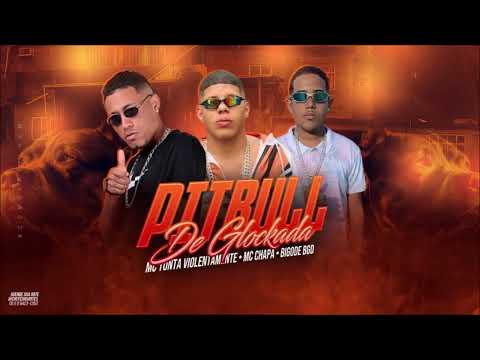 PITBULL DE GLOCKADA - MC TONTA VIOLENTAMENTE, MC CHAPA E BIGODE BGD - REMIX BREGA FUNK